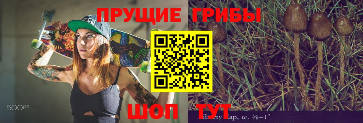 Галлюциногенные грибы Psilocybe  наркота  Вход с VPN  Тамбов  Псилоцибиновые грибы Psilocybine cubensis 